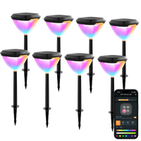 SP6 Path Lights