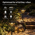 Linkind SP6C Smart Solar Pathway Lights(5 Swappable light patterns, App&Voice Control, 16 Million Color, IP67 Waterproof)