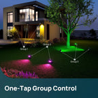 Linkind SL5C Smart Outdoor Solar Spotlight (150lm, App&Voice Control, 16 Million Color, IP67 Waterproof)