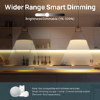 Linkind A19 CCT Smart LED Light Bulbs - Tunable White- 800lm